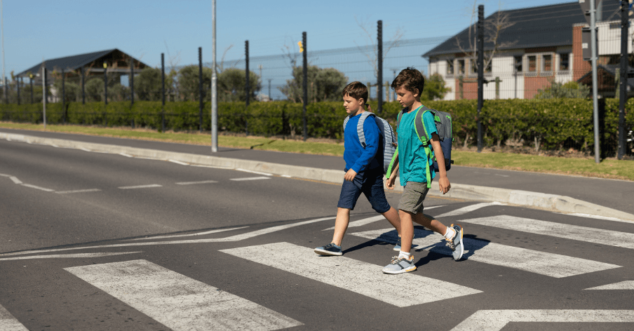 Types of Pedestrian Crossings in Australia: Zebra, Wombat